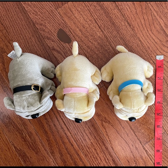 ❤️‍🔥 Two wrinkly faced puppies - Picture 8 of 8